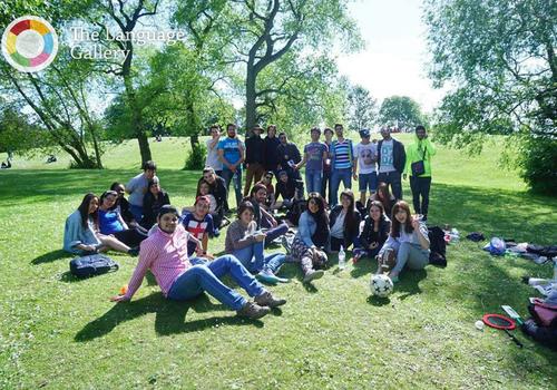 Programme d'activités sociales