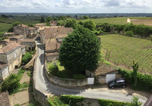 France Langue Bordeaux Excursion Saint Emilion 2